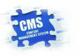 Content Management System (CMS) Training in Denmark