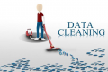 Data Cleaning Training in Denmark