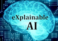 Explainable AI (XAI) Training in Denmark