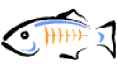 GlassFish Training in Denmark