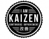 Kaizen Training in Denmark