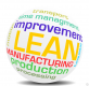 Lean Training in Denmark
