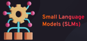 Small Language Models (SLMs) Training in Denmark