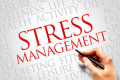 Stress Management Training in Denmark