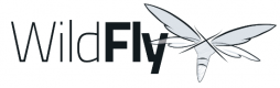 Wildfly Training in Denmark